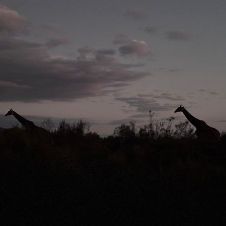 Matjiesrivier  Wildehondekloof Game Lodge מראה חיצוני תמונה