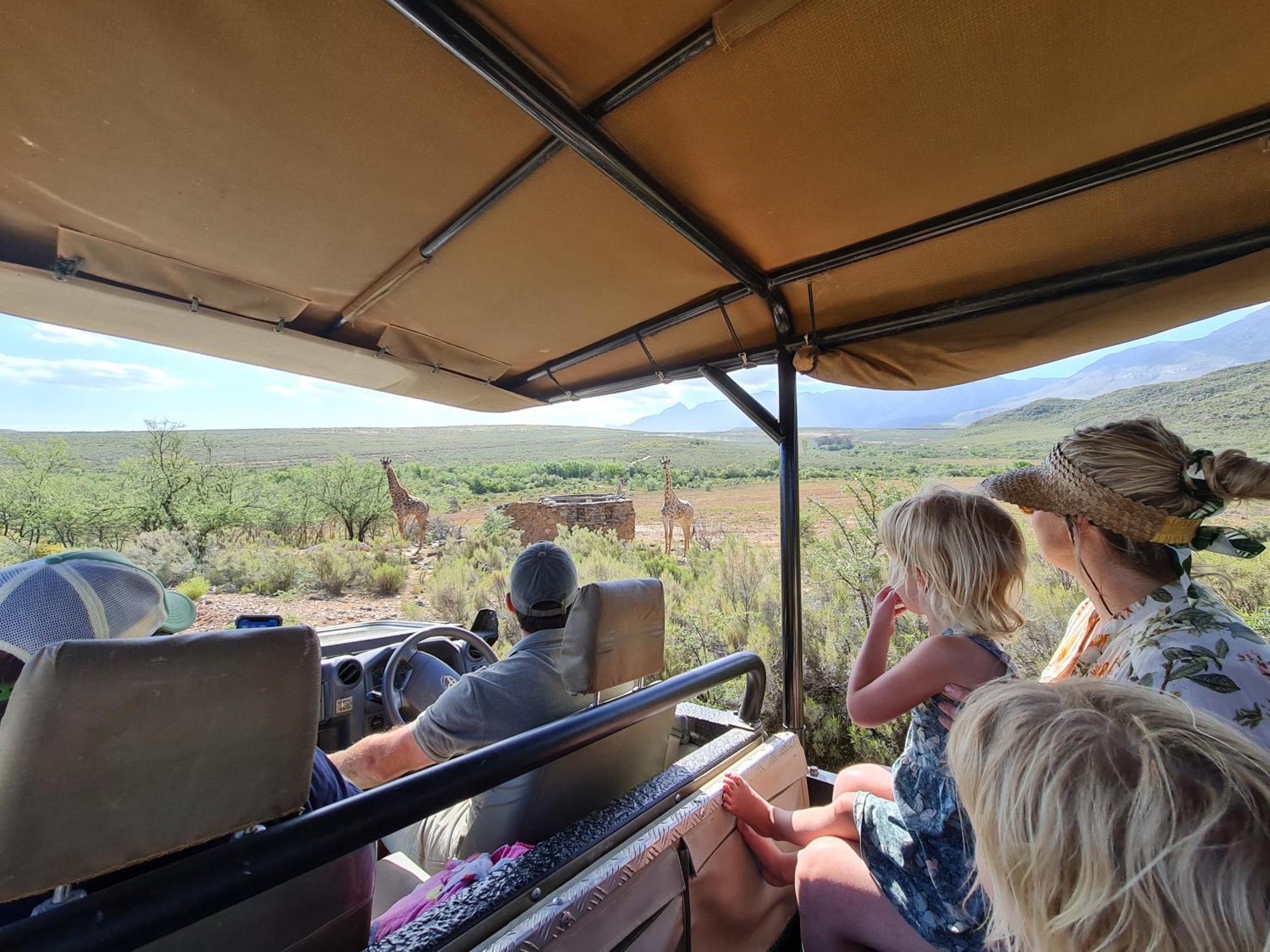 Matjiesrivier  Wildehondekloof Game Lodge מראה חיצוני תמונה