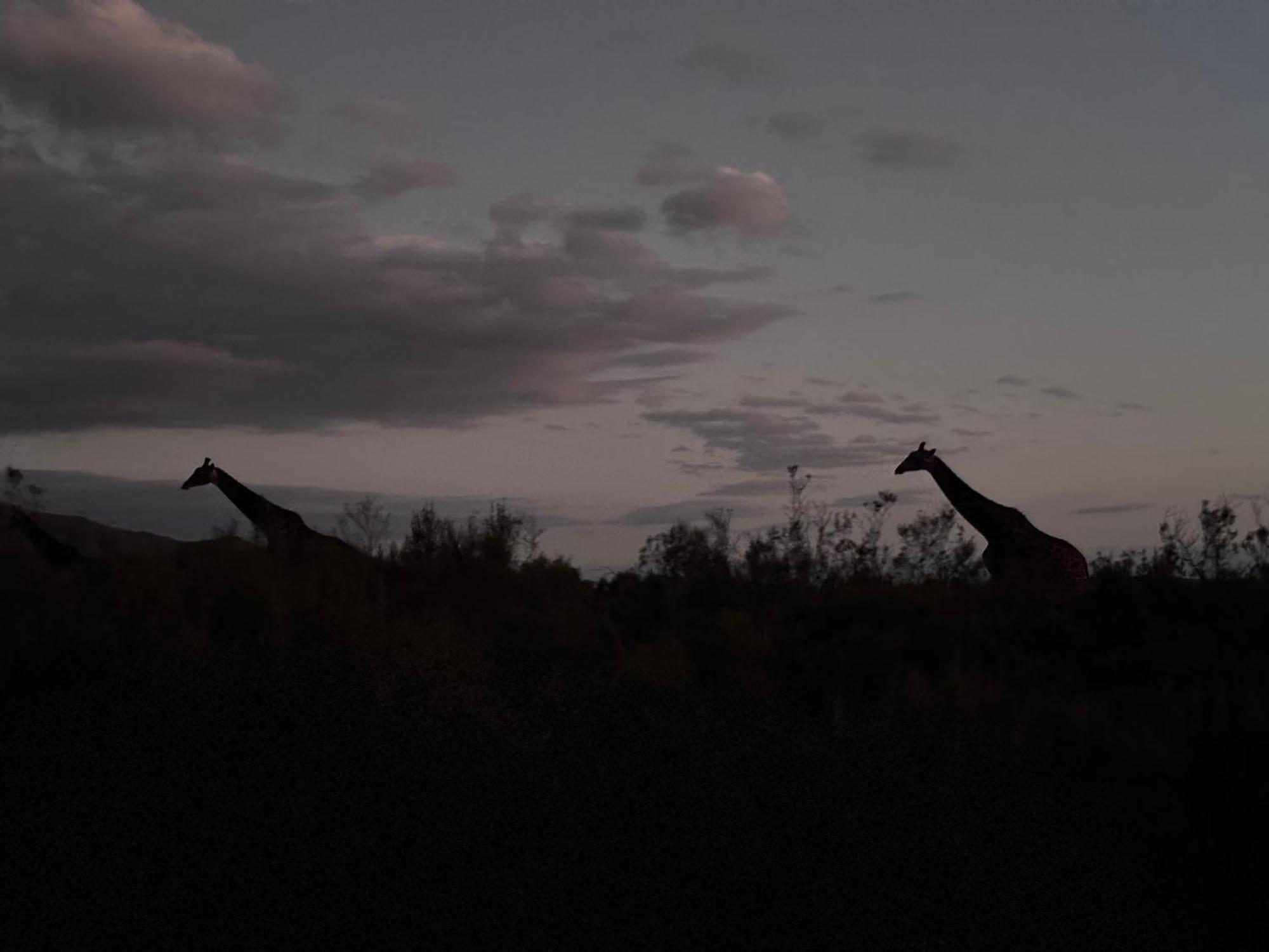 Matjiesrivier  Wildehondekloof Game Lodge מראה חיצוני תמונה