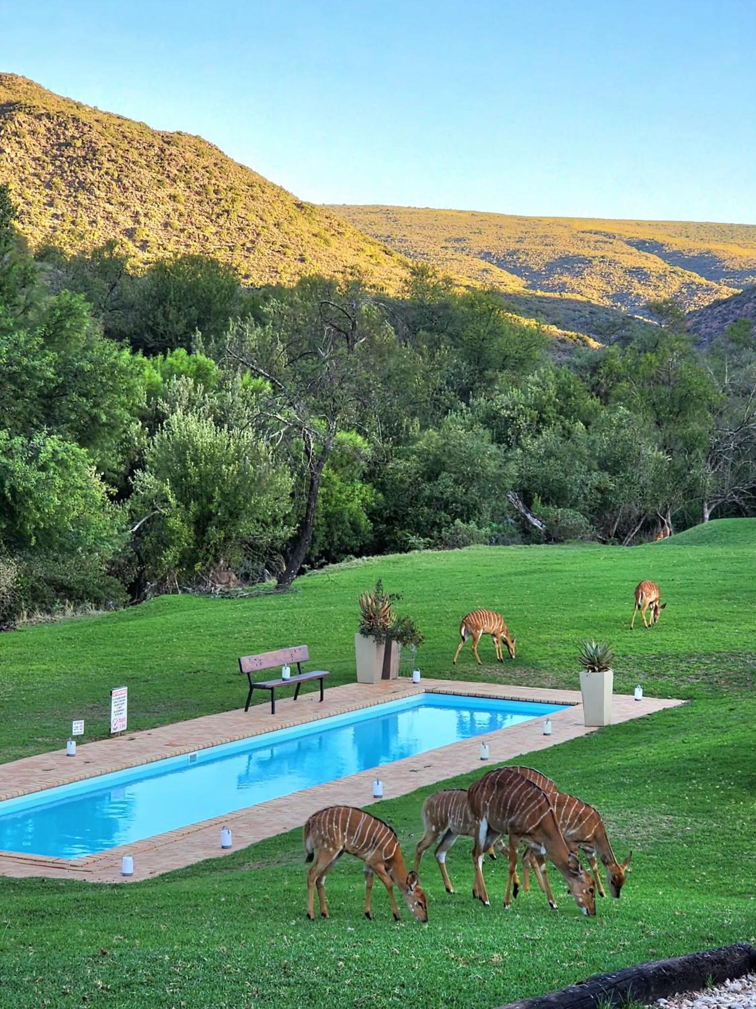 Matjiesrivier  Wildehondekloof Game Lodge מראה חיצוני תמונה